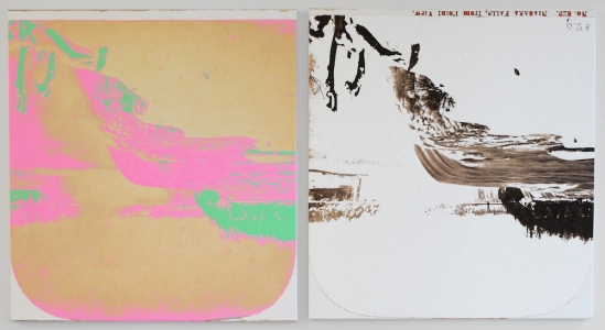  STEREO VIEWS acrylic and inkjet on canvas
