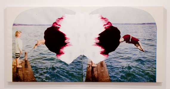  STEREO VIEWS acrylic and inkjet on canvas