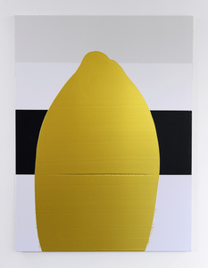  NOVA COLOR acrylic and silkscreen ink on canvas