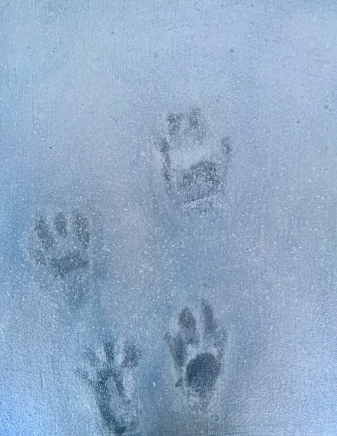 The Last Shall Be First  Image Gallery 2 Oil and Wax on Panel