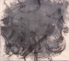 Painting/Drawings 2011 graphite, charcoal, and acrylic on paper
