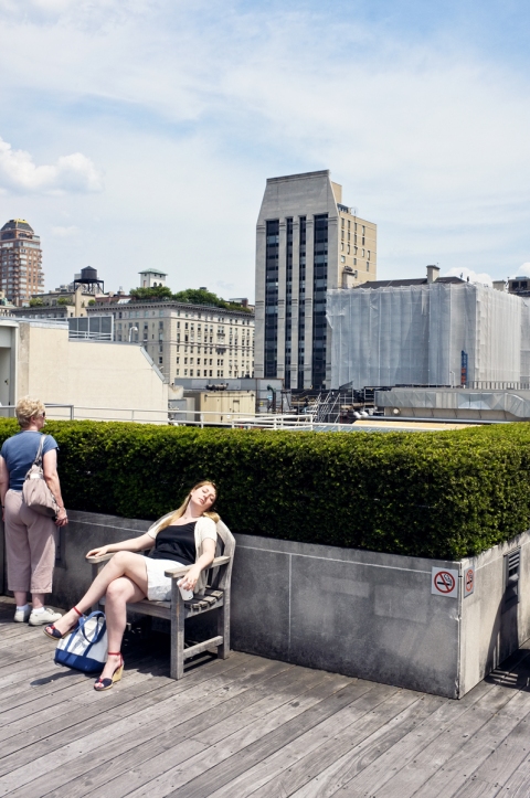 Rooftop The Daily Drip