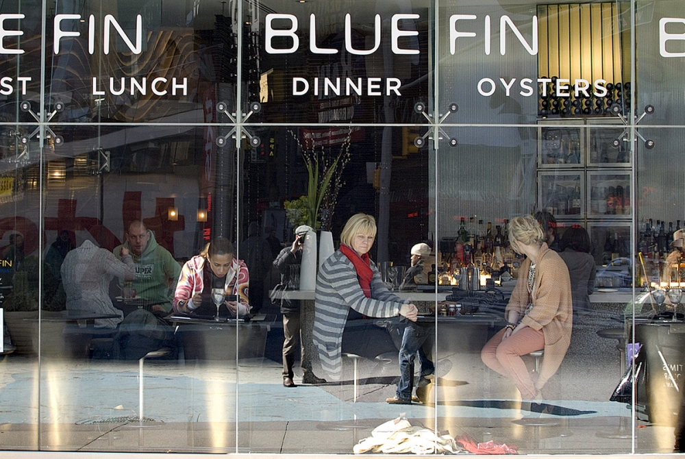 Blue Fin The Daily Drip