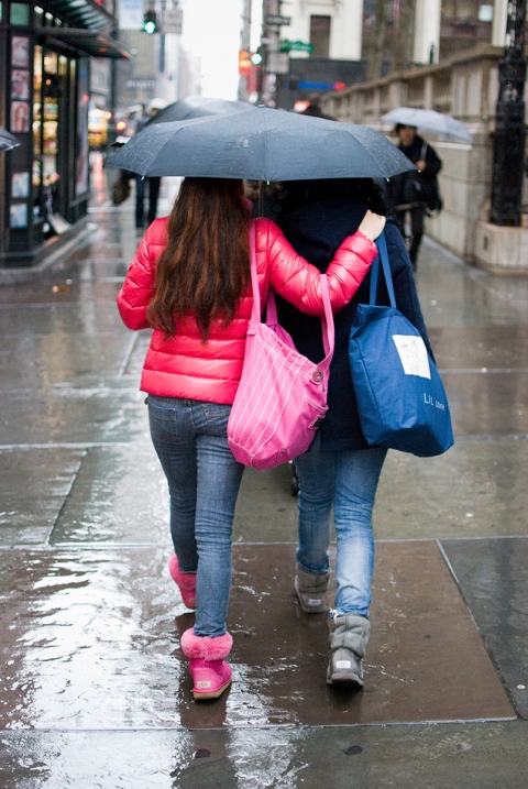 Rain The Daily Drip