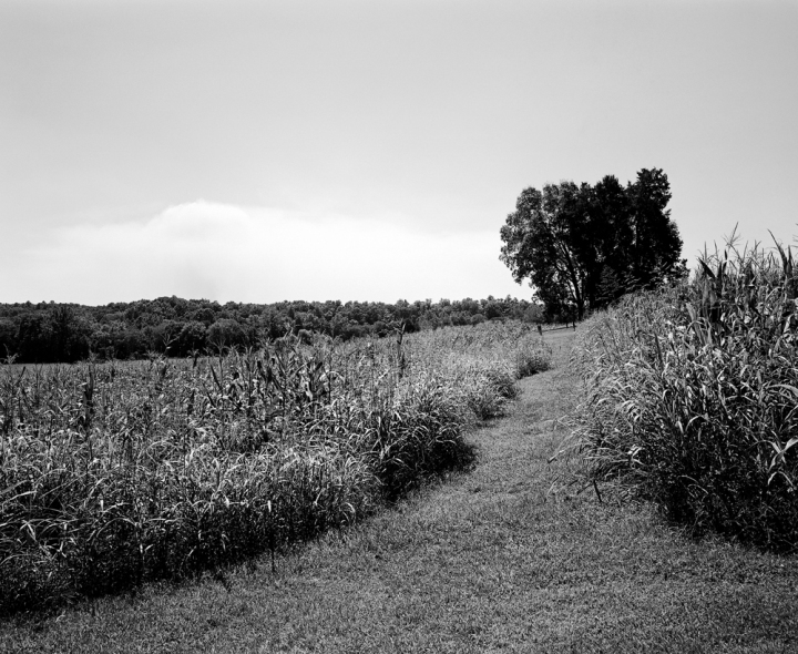 To The Gravesite of Jackson's Arm at Ellwood Manor U.S. Civil War Sites I B&W Film 2001