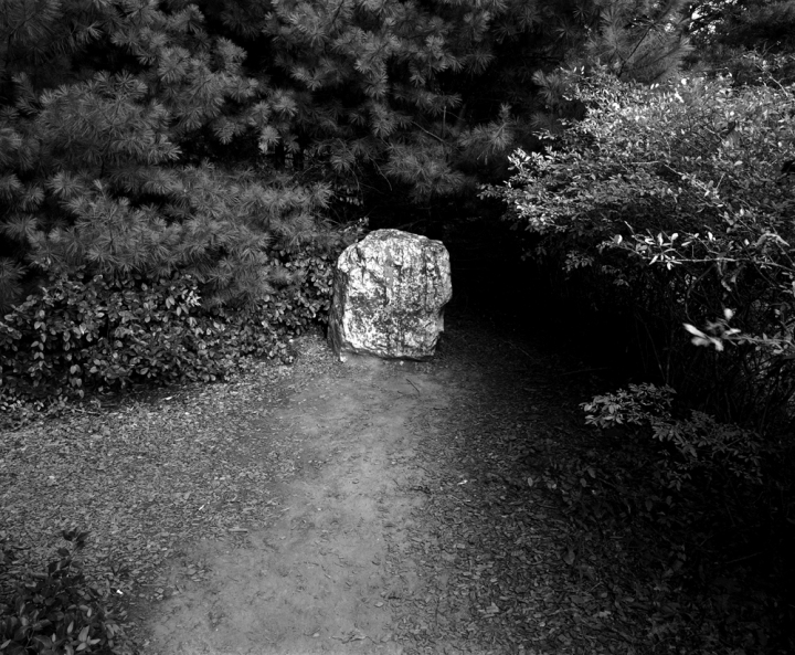 The Marker Where Stonewall Jackson was Wounded U.S. Civil War Sites I B&W Film 2001