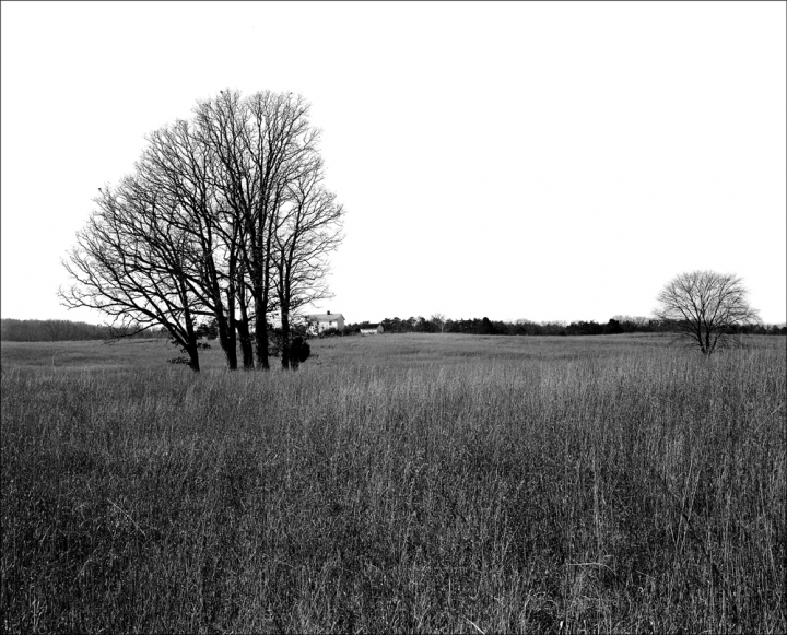 Manassas Battlefield, Where General Thomas Jackson Earned the Name "Stonewall" U.S. Civil War Sites I B&W Film 2001