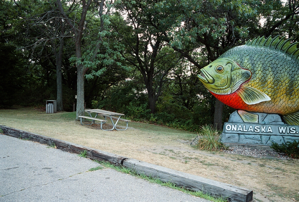 Somewhere in America Color Film