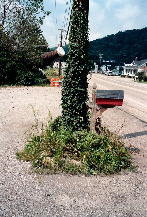 Somewhere in America Color Film