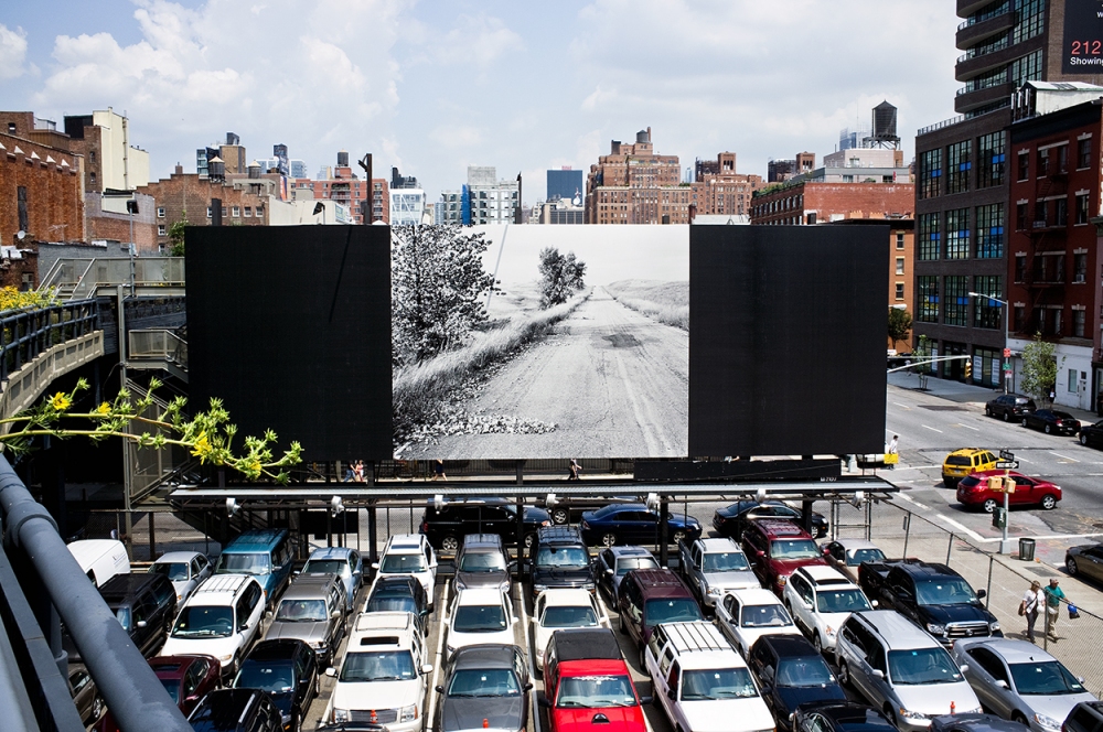 Robert Adams from the High Line The Daily Drip