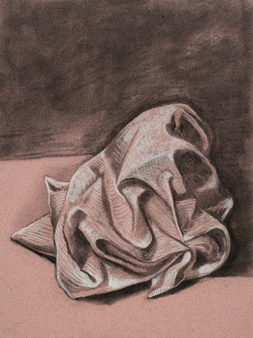 S U E   J O H N S O N Small still life drawings (2014-15) Charcoal on paper