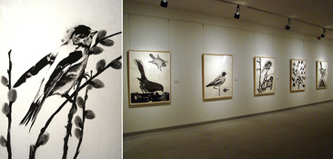 Bird History Drawings (1992-93)