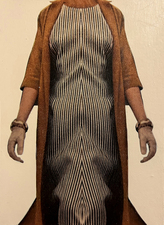 S U S A N   R .   J O H N S O N Symmetrical Bodies: Les Célèbres, The Curiouser, and The Headless Woman 