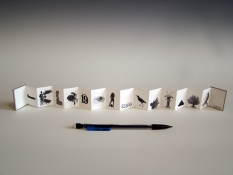 SUE JOHNSON : Artist Books : Miniature books