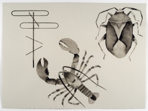 S U E   J O H N S O N Lost Encyclopedia Drawings (1989) Ink on paper