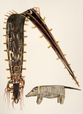 S U E   J O H N S O N Curious Nature of Objects, Pitt Rivers Museum, Oxford, UK (2010-12) Gouache, watercolour and color pencil on paper