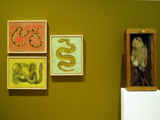 S U E   J O H N S O N Exhibition at the John Michael Kohler Art Center (2006) 