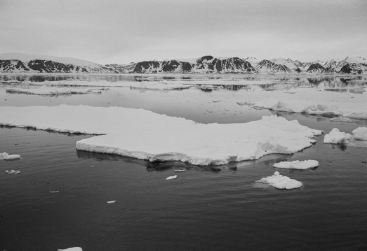 Summer McCorkle Arctic  
