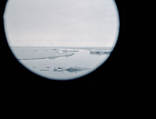 Arctic 