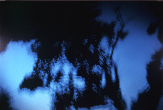 Summer McCorkle Prints  Analog chromogenic print