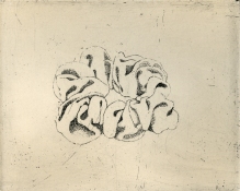 Susan Jane Walp Prints etching on zinc with ink roll