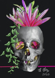 Suzi K. Edwards IPAD PAINTINGS Living Skull, Pirate's Skull, Soulmate Dance Ipad Painting