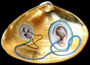 Tabitha Vevers Shell Series Oil + gold leaf on sea clam shell 