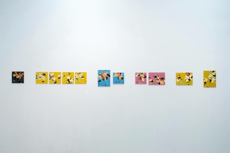 Arlan Huang Flatfile-Lounge Gallery, Nagano, Japan 2015 