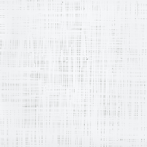 TENESH WEBBER   BLACK AND WHITE PHOTOGRAM