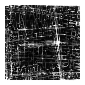 TENESH WEBBER  PORTFOLIO 1 2021-2025 SILVER GELATIN PRINT: 20"X20"