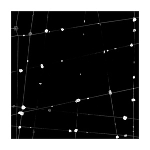 TENESH WEBBER  PORTFOLIO 1 2026 SILVER GELATIN PRINT: 20"X20"
