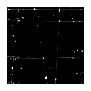 TENESH WEBBER  PORTFOLIO 1 2026 SILVER GELATIN PRINT: 20"X20"