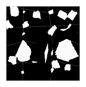 TENESH WEBBER  PORTFOLIO 1 2026 SILVER GELATIN PRINT: 20"X20"