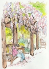 Carousel artwork image 1311