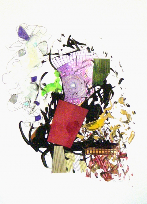 Drawinfg FL2 Drawings Mixed media collage on BFK paper