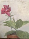 Carousel artwork image 630