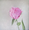 Carousel artwork image 631