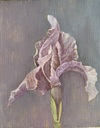 Carousel artwork image 632