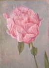 Carousel artwork image 633