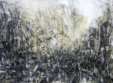 Tina Grondin  bound graphite on canvas