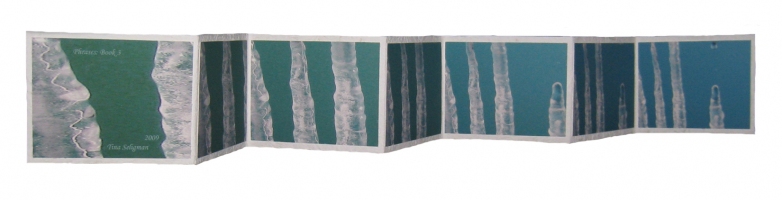 Tina Seligman Phrase Books (2009) digital pigment prints on Hahnemuhle rag, Unryu  paper, block printing ink