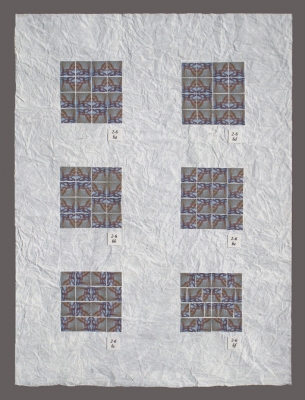 Tina Seligman Variations (2009) digital pigment prints on Hahnemuhle rag, Unryu paper, block printing ink