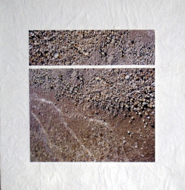 Tina Seligman Cycles: Intervals  (2009) digital pigment prints on Hahnemuhle rag, Unryu, block  printing ink, museum board on canvas