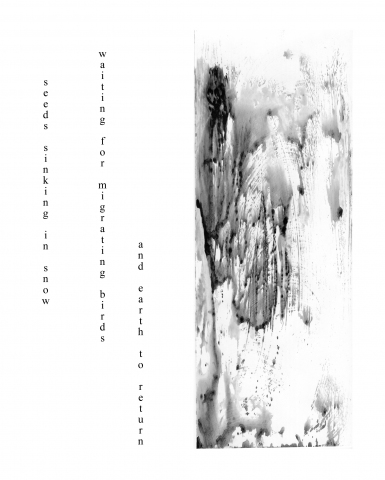Tina Seligman Haiku digital archival pigment print on Hahnemuhle rag (from monotype)