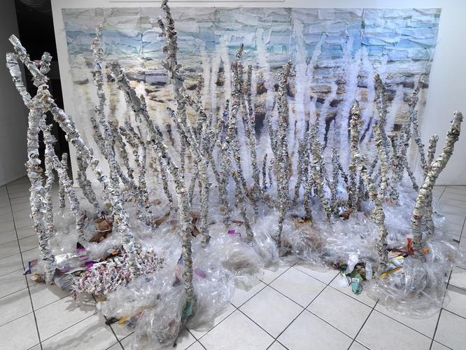 TOBY ZALLMAN reefscollapse Sculpture: plastic packaging and bags; Backdrop: Ink jet print, muslin, pastel, plastic bags