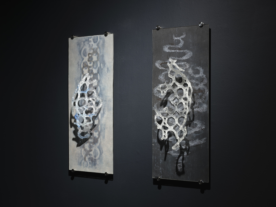 Tomoko Amaki Abe Glass Kiln cast glass, acrylic and ink on collagraph print