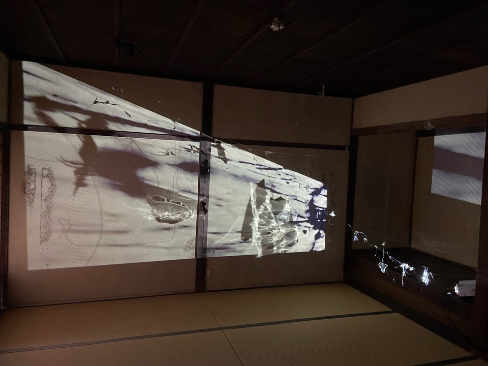 Tomoko Amaki Abe Installation Glass, Film Projection