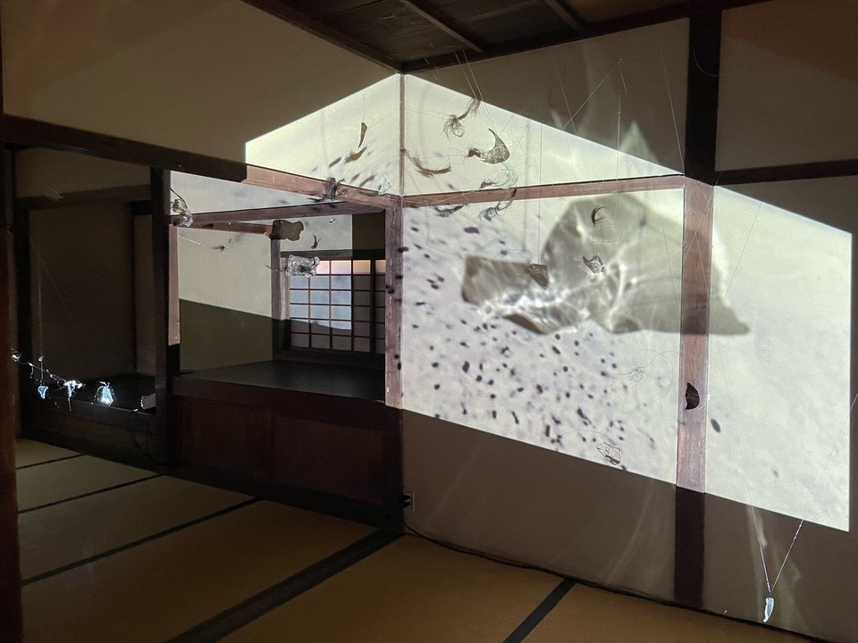 Tomoko Amaki Abe Installation Glass, Film projection