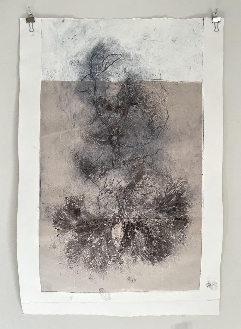 Tomoko Amaki Abe Works on Paper Collagraph