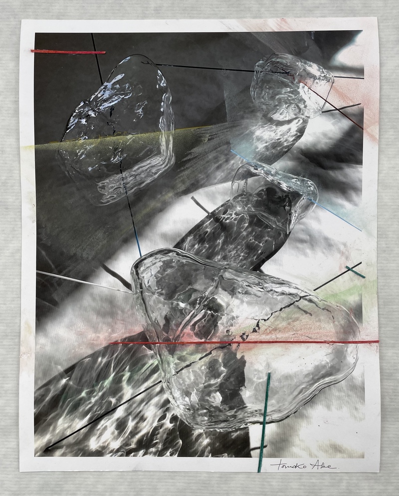 Tomoko Amaki Abe Works on Paper Digital print collage on archival paper, gouache, pastel
